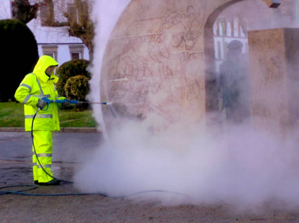 Best Roof Pressure Washing  in Francisville, KY